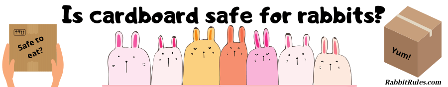 Image of rabbits eating cardboard. The caption reads "Is cardboard safe for rabbits."