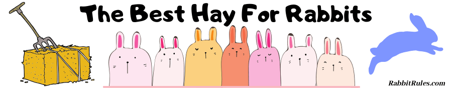 Image of rabbits and a hay bail. The caption reads "The best hay for rabbits."