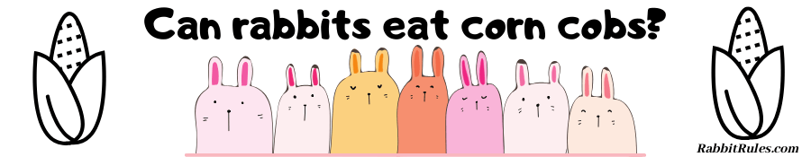 Image of rabbits and two corn cobs. The caption reads "can rabbits eat cor cobs."