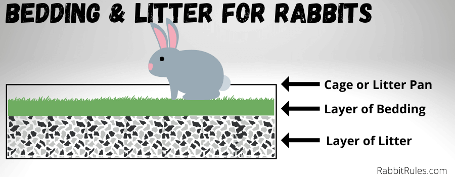 Image of a diagram showing how to layer rabbit bedding and litter. It shows a rabbit in a cage or litter pan with layered bedding and litter, the rabbit is sitting in the cage.