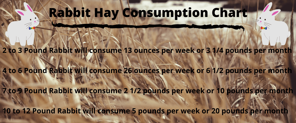 Image of hay growing. Title reads "Rabbit Hay Consumption chart." "2 to 3 Pound Rabbit will consume 13 ounces per week or 3 1/4 pounds per month 4 to 6 Pound Rabbit will consume 26 ounces per week or 6 1/2 pounds per month 7 to 9 Pound Rabbit will consume 2 1/2 pounds per week or 10 pounds per month 10 to 12 Pound Rabbit will consume 5 pounds per week or 20 pounds per month."