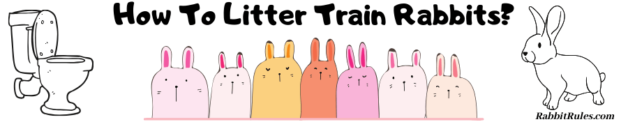 Image of a toilet and a rabbit. The caption reads "How to litter train a rabbit."