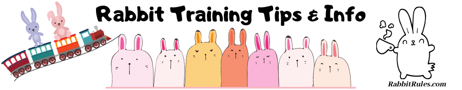 Image of rabbits being trained. The caption reads "rabbit training tips and information."