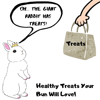 Image of a rabbit and a tall person giving a rabbit a treat. The rabbits caption box states "Oh... The giant rabbit has treats."