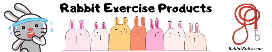 Image of rabbits and exercise products. The caption reads "Rabbit exercise products."
