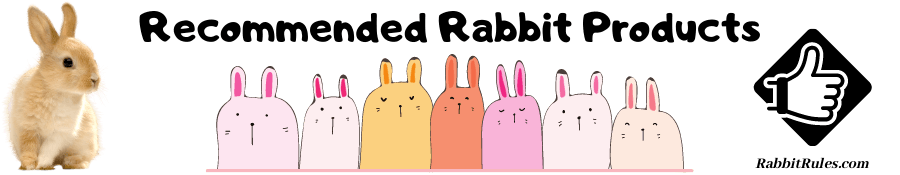 Image of rabbits and a thumbs up symbol. The caption reads "recommended rabbit products and reviews."