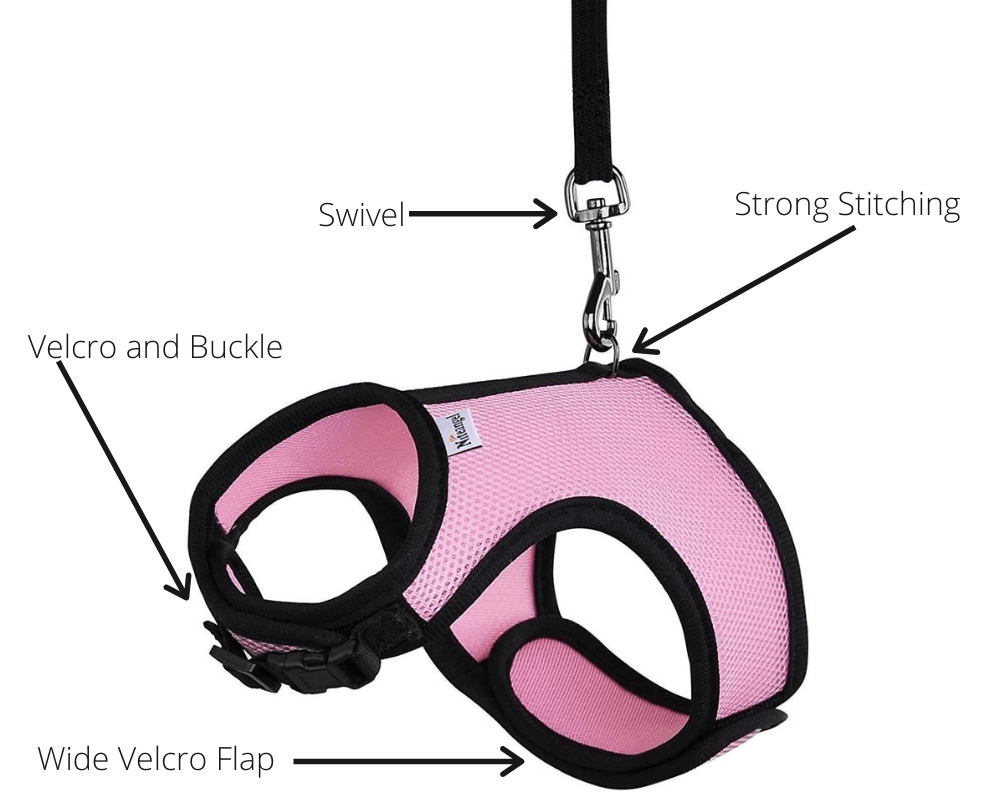 Image of the best rabbit harness showing each part including the velcro, buckle, leash swivel and the strong stitching.