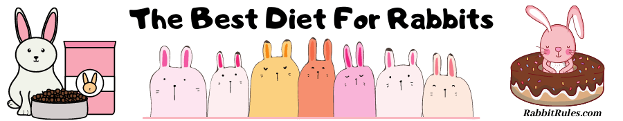 Image of rabbit and their food. The caption reads "the best diet for rabbits."