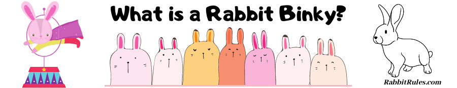 Image of rabbits and a rabbit binky. The caption reads "what is a rabbit binky."