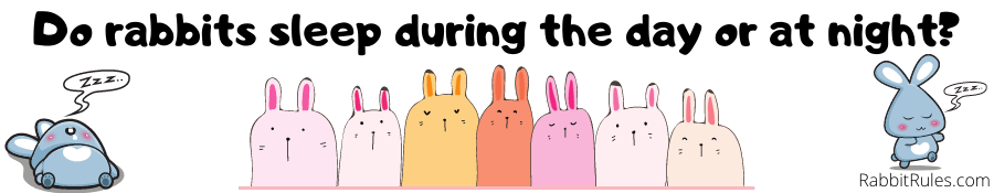 Image of tired rabbits. The caption reads "Do rabbits sleep during the night or day?"